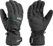 Alpe GTX